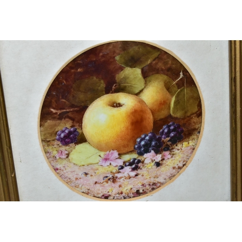 322 - A FRAMED COALPORT PORCELAIN PLAQUE, by Frederick H. Chivers, painted with apples, blackberries and f... 