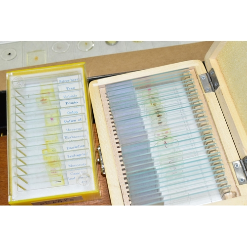 501 - A BOX CONTAINING SMALL BOXES OF PREPARED MICROSCOPE SLIDES, subjects include botanical specimens, Zo... 