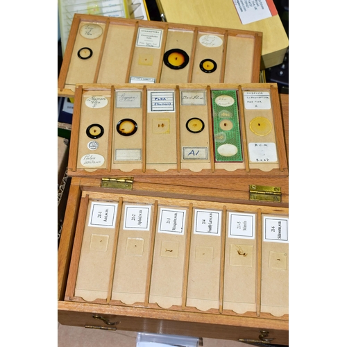 501 - A BOX CONTAINING SMALL BOXES OF PREPARED MICROSCOPE SLIDES, subjects include botanical specimens, Zo... 