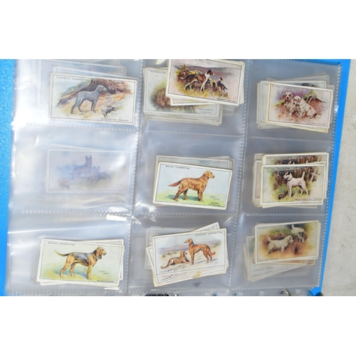 505 - CIGARETTE CARDS, one folder containing a collection of 'Dog' related cards from John Player & Sons, ... 