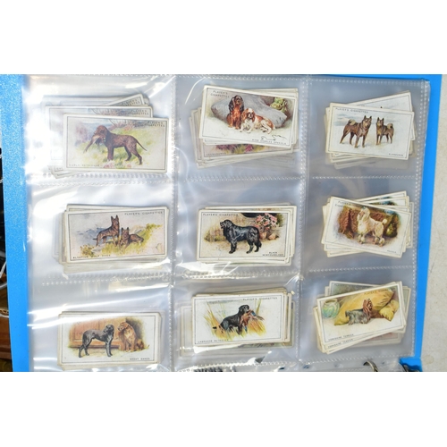 505 - CIGARETTE CARDS, one folder containing a collection of 'Dog' related cards from John Player & Sons, ... 