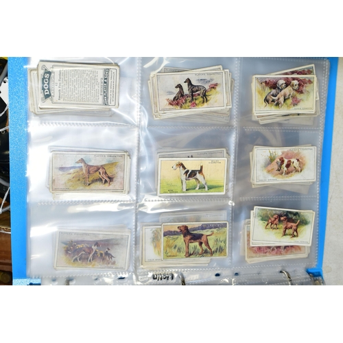 505 - CIGARETTE CARDS, one folder containing a collection of 'Dog' related cards from John Player & Sons, ... 