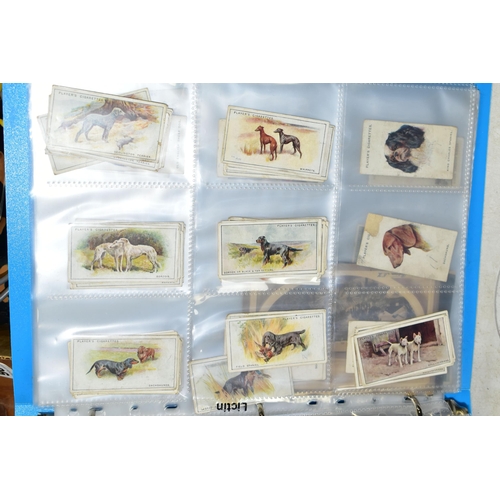 505 - CIGARETTE CARDS, one folder containing a collection of 'Dog' related cards from John Player & Sons, ... 