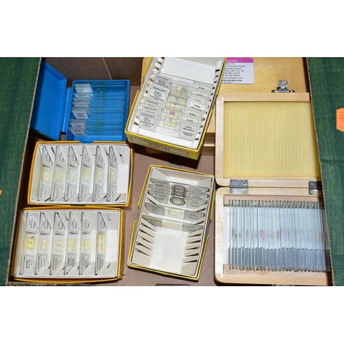 515 - A BOX OF PRE-PREPARED MICROSCOPE SLIDES, to include approximately one hundred and sixty boxed modern... 