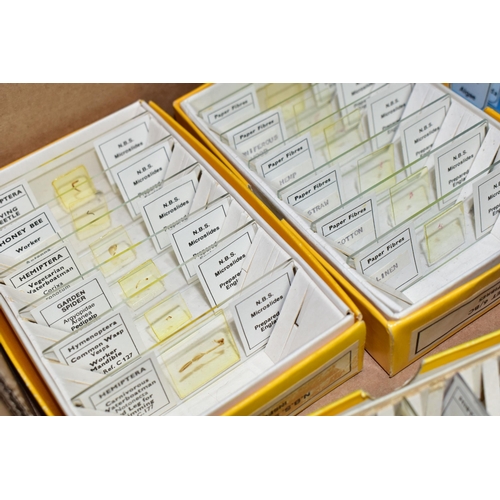 515 - A BOX OF PRE-PREPARED MICROSCOPE SLIDES, to include approximately one hundred and sixty boxed modern... 