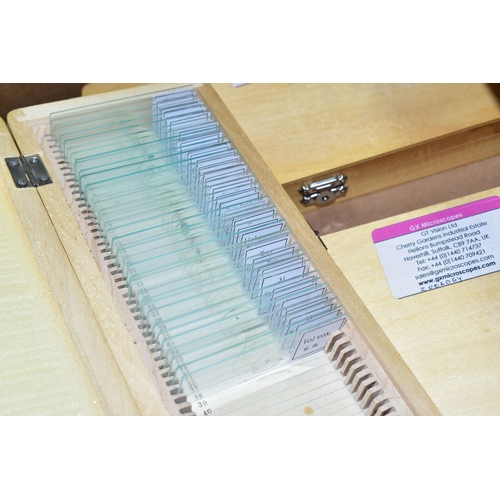 515 - A BOX OF PRE-PREPARED MICROSCOPE SLIDES, to include approximately one hundred and sixty boxed modern... 