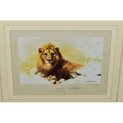 517 - DAVID SHEPHERD (1931-2017) THREE SIGNED LIMITED EDITION PRINTS, comprising 'Lion Sketch' 818/850, ap... 