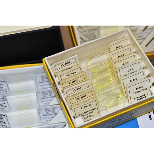 525 - A BOX OF MICROSCOPE SLIDES AND SPECIMENS, to include approximately one hundred and thirty boxed slid... 