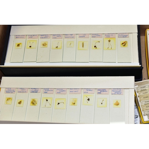 525 - A BOX OF MICROSCOPE SLIDES AND SPECIMENS, to include approximately one hundred and thirty boxed slid... 