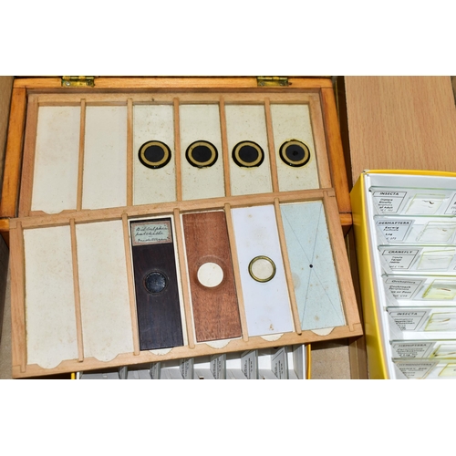 546 - A BOX OF MICROSCOPE SLIDES AND SPECIMENS, to include approximately twenty seven boxed slides, mainly... 