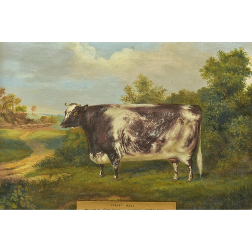 296 - ATTRIBUTED TO A.M. GAUCI (19TH CENTURY) 'FOREST BELL',  a portrait of a prize winning cow in a lands... 