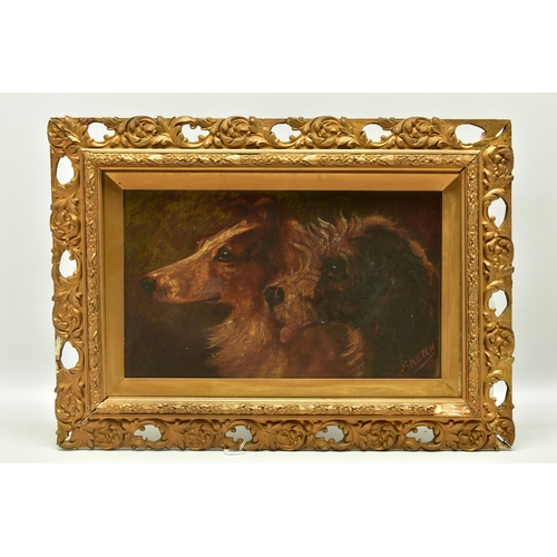 322 - HERBERT St JOHN JONES (1870-1939) 'SKETCH', a pair of dog portraits both featuring a Rough Collie do... 