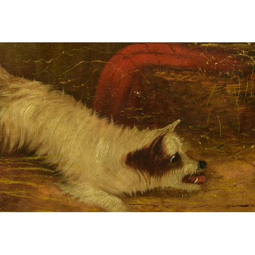 323 - G. GREGORY (19THCENTURY)  A TERRIER CHASING A RAT, a depiction of a terrier in a barn chasing a rat ... 