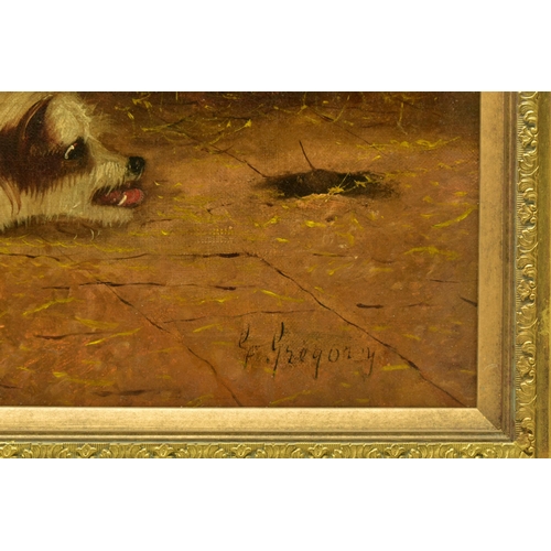 323 - G. GREGORY (19THCENTURY)  A TERRIER CHASING A RAT, a depiction of a terrier in a barn chasing a rat ... 