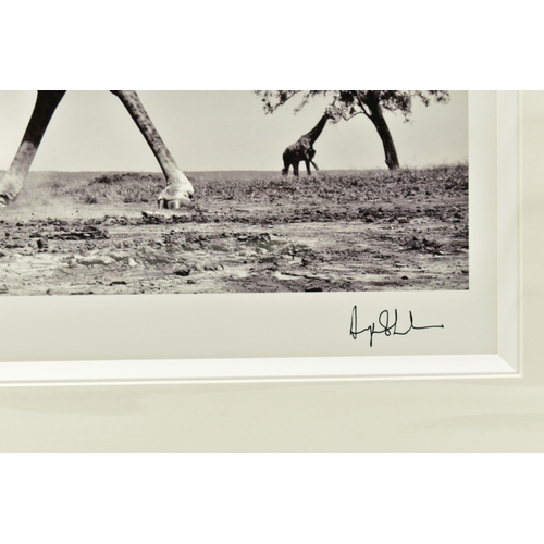 336 - ANUP SHAH (KENYA CONTEMPORARY) 'DANCE', a signed limited edition photographic print on paper depicti... 