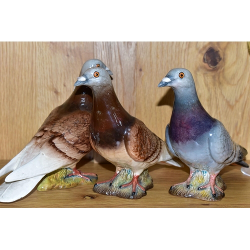 348 - THREE BESWICK PIGEONS, second versions with two stripes on wings, model no 1383B, one 'blue' (grey) ... 