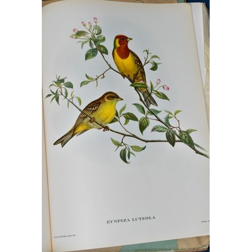 428 - BOOKS, two titles, Mr. Gould's Tropical Birds by Eva Mannering, published by The Ariel Press 1955, c... 