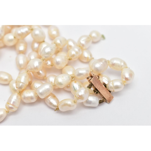 50 - A MODERN FRESHWATER CULTURED PEARL CHOKER WITH 9CT GOLD CLASP, designed as a three rows of baroque f... 