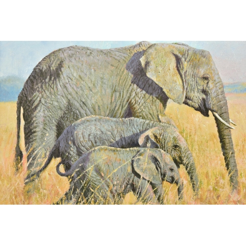 330 - TONY FORREST (BRITISH 1961) 'FAMILY OUTING' a limited edition print of African Elephants 24/195, sig... 