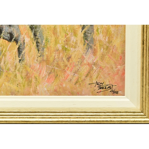 330 - TONY FORREST (BRITISH 1961) 'FAMILY OUTING' a limited edition print of African Elephants 24/195, sig... 