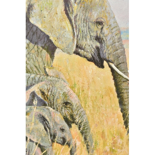 330 - TONY FORREST (BRITISH 1961) 'FAMILY OUTING' a limited edition print of African Elephants 24/195, sig... 