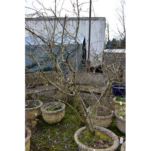 935 - A PAIR OF WEATHERED COMPOSITE CIRCULAR TAPERED PLANTERS, with a lattice design, diameter 53cm x heig... 