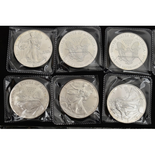 124 - A QUANTITY OF SILVER EAGLE COINS USA, nineteen in total 1991 (2) 1993 (3) 1997,  1999 (3) 2000 (2) 2... 