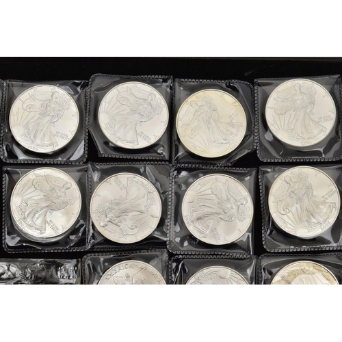 124 - A QUANTITY OF SILVER EAGLE COINS USA, nineteen in total 1991 (2) 1993 (3) 1997,  1999 (3) 2000 (2) 2... 