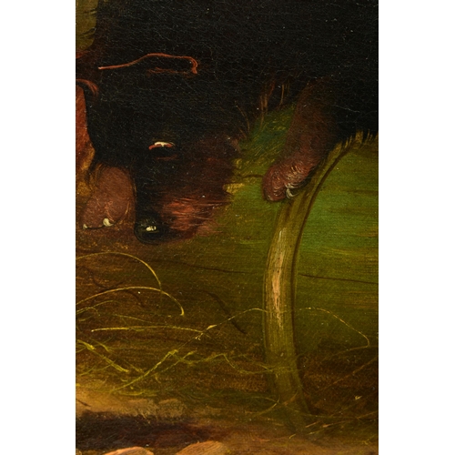 298 - G. GREGORY (19TH CENTURY) A TERRIER WAITING FOR A RAT TO COME OUT OF A HOLE, a depiction of a terrie... 