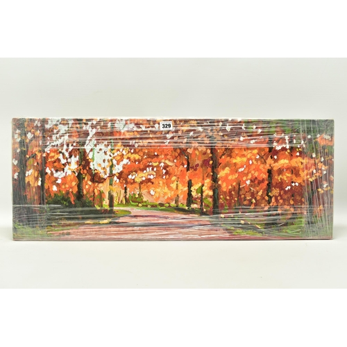 329 - TIMMY MALLETT (BRITISH CONTEMPORARY) 'WOODLAND WALK', a signed artist proof edition box canvas print... 