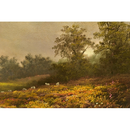 339 - NOEL RIPLEY (BRITISH 1944) A PASTORAL BRITISH SCHOOL LANDSCAPE, sheep grazing in an overgrown meadow... 