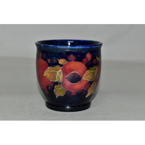 361 - A SMALL MOORCROFT POTTERY POMEGRANATE PLANTER,  tube lined with pomegranates and berries on a navy b... 