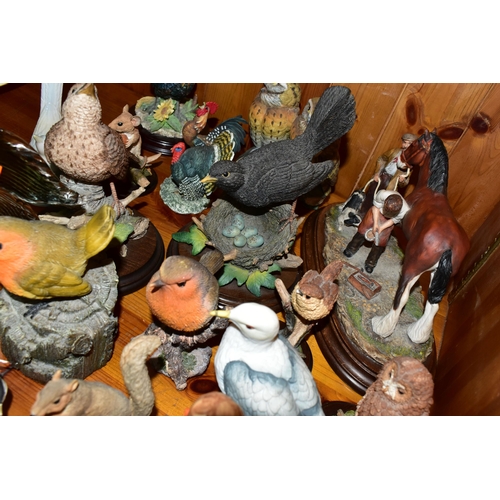 383 - A COLLECTION OF BIRD ORNAMENTS, to include a Goebel Pied Wagtail 38025, Goebel 'Sister' 9810 and 'Br... 