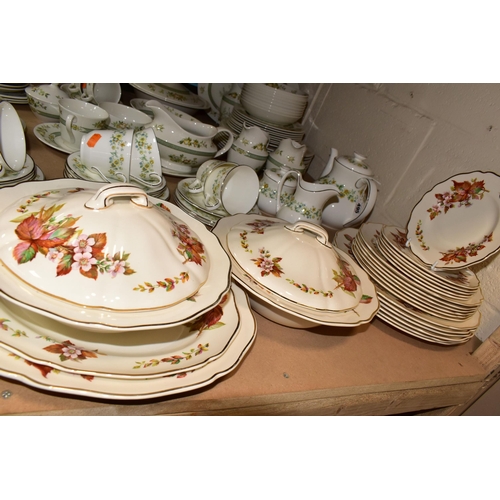 495 - A SIXTY SIX PIECE ROYAL DOULTON TONKIN TC1107 DINNER SERVICE, comprising two tureens, a meat plate, ... 