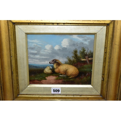 509 - A. JACKSON (19TH/20TH CENTURY) ENGLISH SCHOOL PASTORAL SCENE, a ewe and her lamb resting in a pictur... 