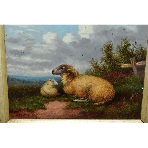 509 - A. JACKSON (19TH/20TH CENTURY) ENGLISH SCHOOL PASTORAL SCENE, a ewe and her lamb resting in a pictur... 