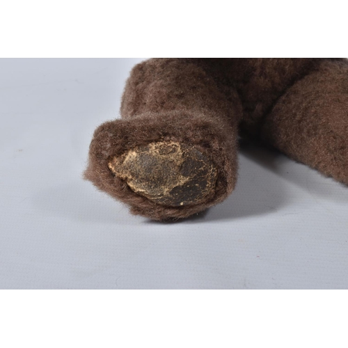 38 - A BROWN WOOL TEDDY BEAR, c. 1950's possibly British or Australian, amber and black glass eyes, shave... 