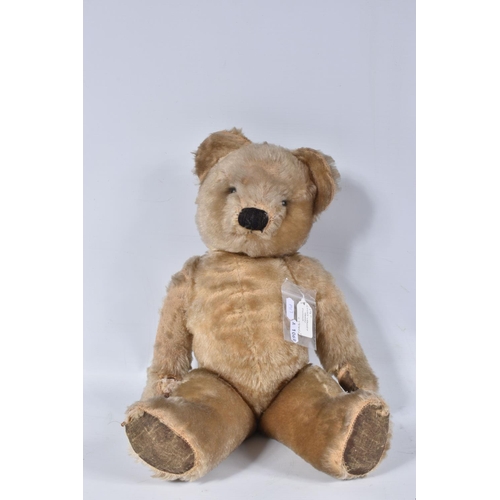 62 - A CHAD VALLEY BLONDE MOHAIR TEDDY BEAR, amber and black glass eyes, shaved muzzle, vertical stitched... 