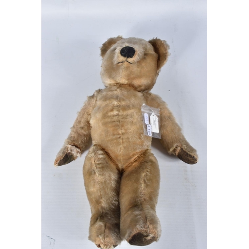 62 - A CHAD VALLEY BLONDE MOHAIR TEDDY BEAR, amber and black glass eyes, shaved muzzle, vertical stitched... 