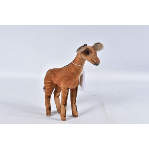 64 - A STEIFF VELVET OKAPI, c.mid 20th century, black glass eyes (one chipped),missing button and label f... 