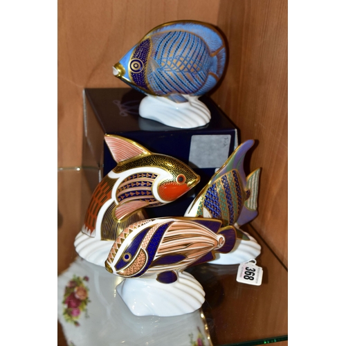 368 - FOUR ROYAL CROWN DERBY TROPICAL FISH PAPERWEIGHTS, comprising a boxed Chevroned Butterfly Fish, with... 