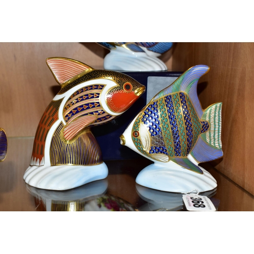 368 - FOUR ROYAL CROWN DERBY TROPICAL FISH PAPERWEIGHTS, comprising a boxed Chevroned Butterfly Fish, with... 