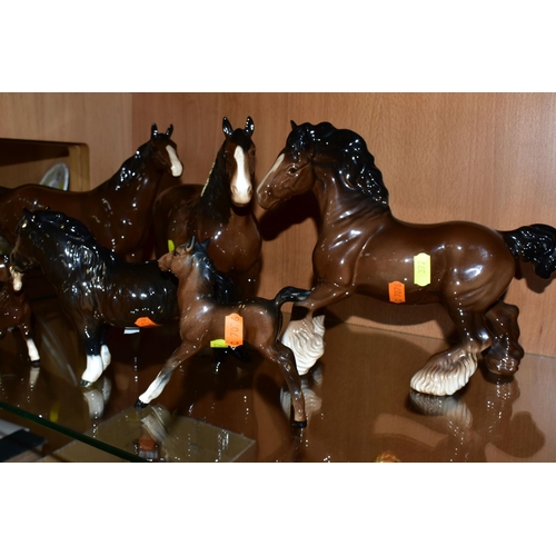 377 - A COLLECTION OF BESWICK SHIRE HORSES, comprising Shetland Pony  (woolly Shetland Mare)1033 and Shetl... 