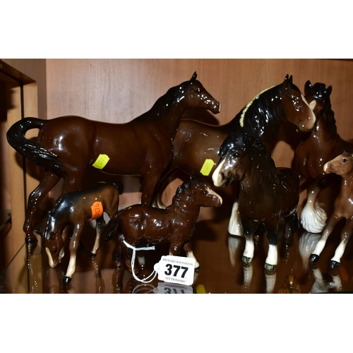 377 - A COLLECTION OF BESWICK SHIRE HORSES, comprising Shetland Pony  (woolly Shetland Mare)1033 and Shetl... 