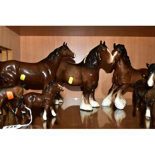 377 - A COLLECTION OF BESWICK SHIRE HORSES, comprising Shetland Pony  (woolly Shetland Mare)1033 and Shetl... 