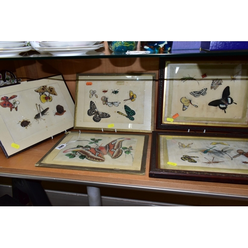 390 - FIVE CHINESE 19TH CENTURY PAINTINGS ON RICE PAPER, subjects include butterflies, moths, beetles and ... 