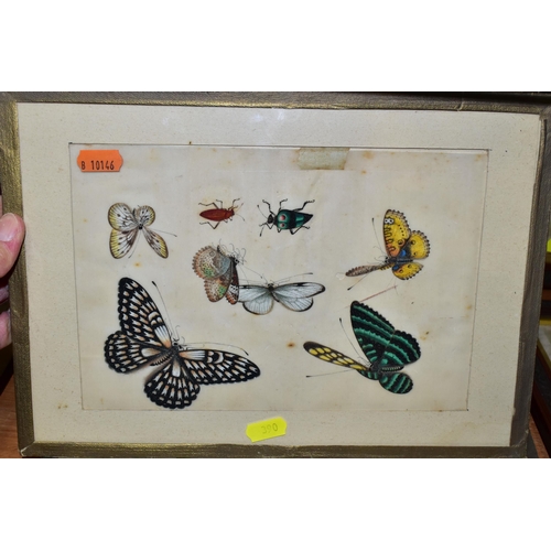 390 - FIVE CHINESE 19TH CENTURY PAINTINGS ON RICE PAPER, subjects include butterflies, moths, beetles and ... 