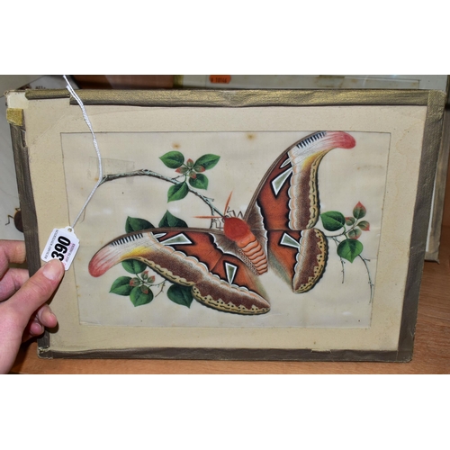 390 - FIVE CHINESE 19TH CENTURY PAINTINGS ON RICE PAPER, subjects include butterflies, moths, beetles and ... 