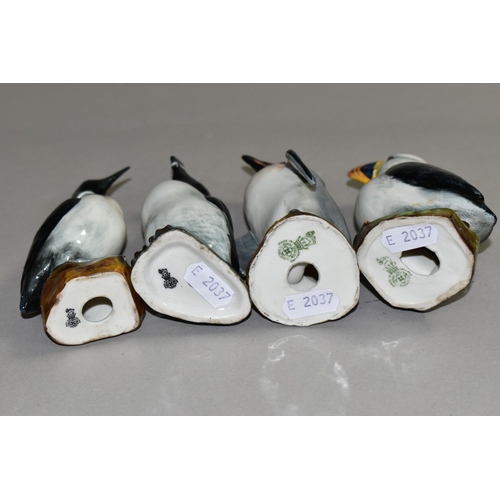 399 - A SET OF FOUR RARE ROYAL DOULTON CHINA SEA BIRD FIGURES, believed to be one of only four sets made, ... 