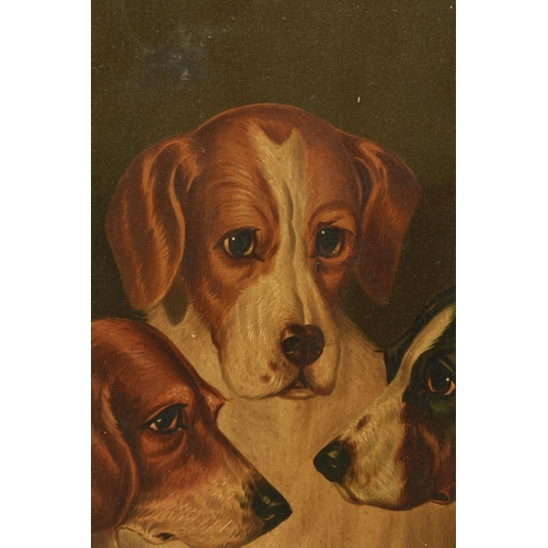 294 - EDWIN LODER OF BATH (1827-C1885) A STUDY OF THREE WORKING DOGS, signed bottom left, oil on board, ap... 